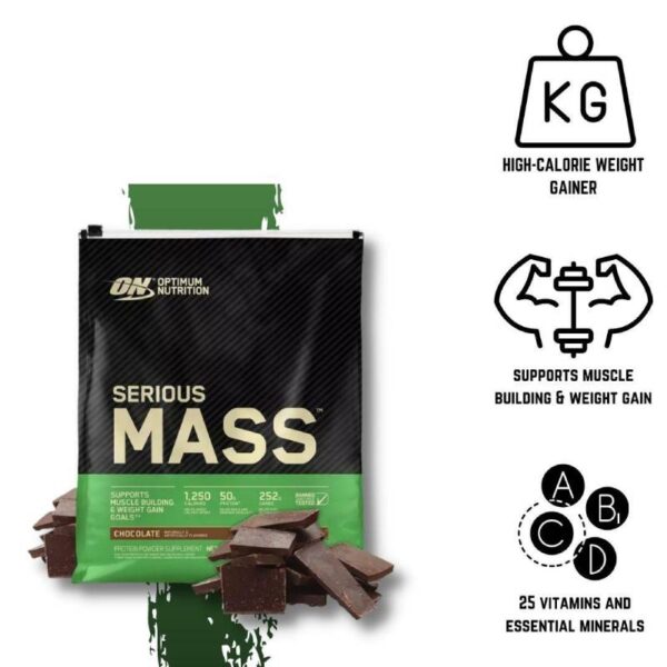 Optimum Nutrition Serious Mass Chocolate Powder - 图片 3