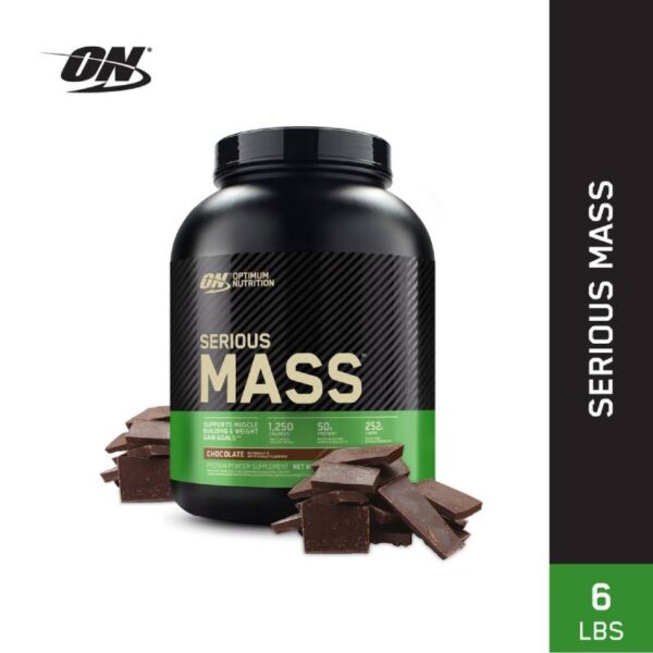 Optimum Nutrition Serious Mass Chocolate Powder - 图片 4