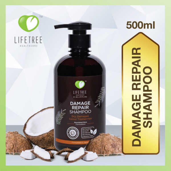 Lifetree Signature Damage Repair Shampoo