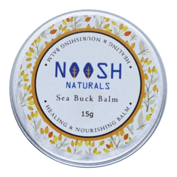 Noosh Naturals Sea Buck Balm - Image 2
