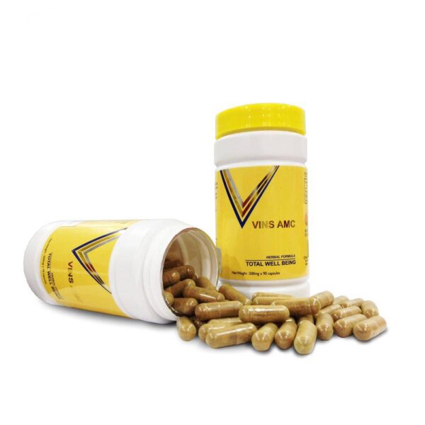 Vins AMC Wild Amla + Turmeric Capsule 90s