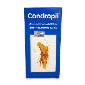 Condropil Capsule 60s
